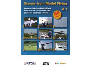 Scenes from Model Flying